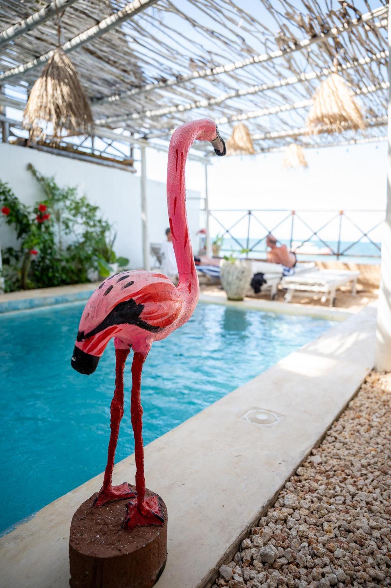 Pili Pili Boho Beach جامبياني المظهر الخارجي الصورة